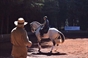 Brito Paes no México a ensinar equitação